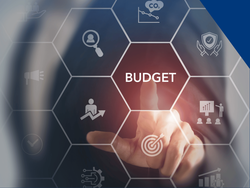 IT budgeting
